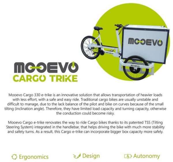 Triciclo Electrico Cargo Bike