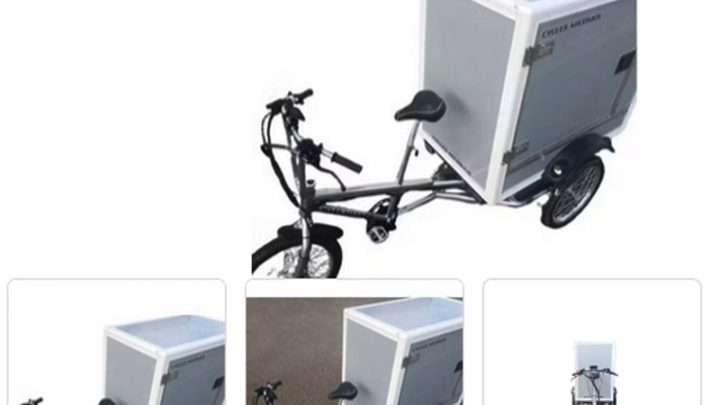 cargobike electrica precio mercado con caja