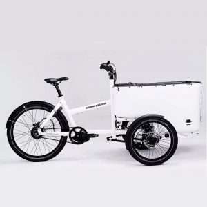 estudio de mercado cargo bike electricas