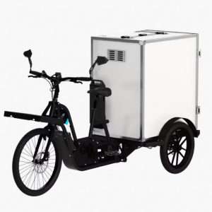 triciclo electrico de carga patinete precios